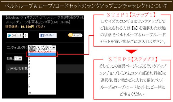 画像8: 【diosbras-ディオブラス】【ウォレットロープセット】【Lサイズにランクアップ】【ウォレットコードセット】【ベルトループセットまたはベルトループ単品と同時購入の方限定】