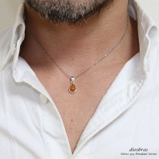 画像4: アンバー　琥珀 ペンダントしずく型　ドロップ【ペンダント トップ】存在感のある琥珀ペンダント　ナバホ　パワーストーン インディアンジュエリー　/シルバー925/フェザーネックレス ネックレス メンズ レディース (4)