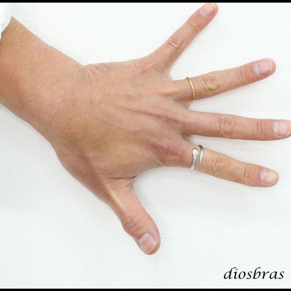 画像6: ステンレス  フリーサイズ スネーク 蛇 リング チェーン リング シルバー 金属アレルギー対応 光沢 ゴールド 金 リング アクセサリー メンズ レディース