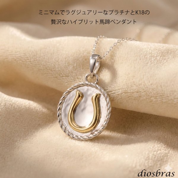 画像2: 馬蹄 ホースシュー コイン ペンダント プラチナ PT900 k18 トップのみ 単品 ネックレス シンプル ゴールド ペンダント 18k メンズ レディース ペンダント 18金 チャーム  ペンダント コイン ペンダント トップ ネックレス