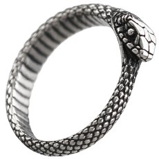 画像5: スネーク　蛇　ヘビ  ステンレス  リング  ステンレス  リング  シルバー 金属アレルギー対応 光沢 リング アクセサリー メンズ レディース (5)
