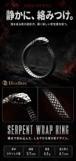 画像3: スネーク　蛇　ヘビ  ステンレス  リング  ステンレス  リング  シルバー 金属アレルギー対応 光沢 リング アクセサリー メンズ レディース (3)