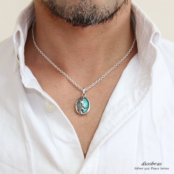 画像3: 【オーバル ペンダント トップ】存在感のある神聖なココペリ 天然ターコイズ/ネイティブアメリカン インディアンジュエリー鷹・イーグル羽根/シルバー925/フェザーネックレス ネックレス メンズ レディース (3)