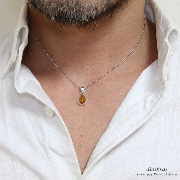 画像4: アンバー 琥珀 ペンダントしずく型 ドロップ【ペンダント トップ】存在感のある琥珀ペンダント ナバホ パワーストーン インディアンジュエリー /シルバー925/フェザーネックレス ネックレス メンズ レディース (4)