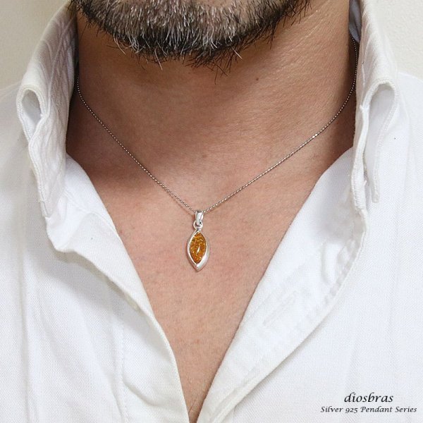 画像4: アンバー 琥珀 ペンダントしずく型 ドロップ【ペンダント トップ】存在感のある琥珀ペンダント ナバホ パワーストーン インディアンジュエリー /シルバー925/フェザーネックレス ネックレス メンズ レディース (4)