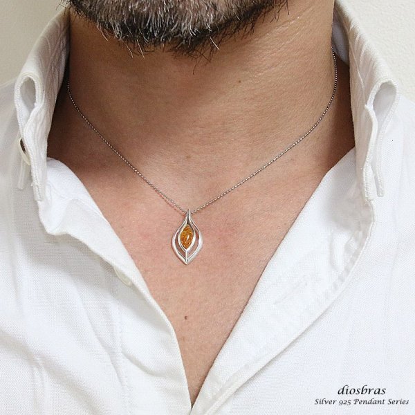 画像4: アンバー 琥珀 ペンダントしずく型 ドロップ【ペンダント トップ】存在感のある琥珀ペンダント ナバホ パワーストーン インディアンジュエリー /シルバー925/フェザーネックレス ネックレス メンズ レディース (4)