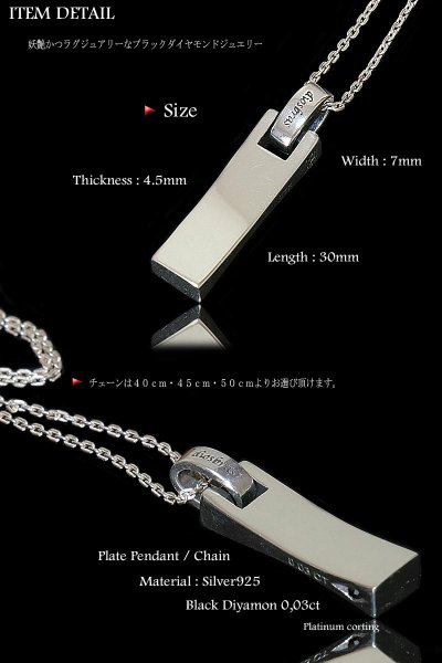 画像5: ペンダント ネックレスプレート ブラックダイヤモンド ネックレス ブラック ダイヤモンド 0.03ct ペンダント ネックレス シルバー925 チェーンセット カラット ジュエリー ブランド (5)