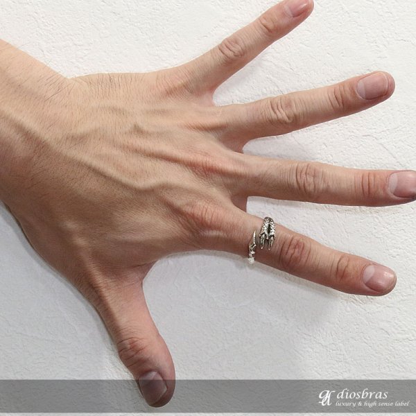 画像3: 【シルバーリング】【ドラゴン リング】【シルバーアクセサリー】クロウ 爪 リング 龍 竜 シルバーアクセサリー メンズ シルバーリング 指輪 シルバー925 メンズアクセサリー 大きいサイズ フリーサイズ【メール便なら全国送料無料】 (3)