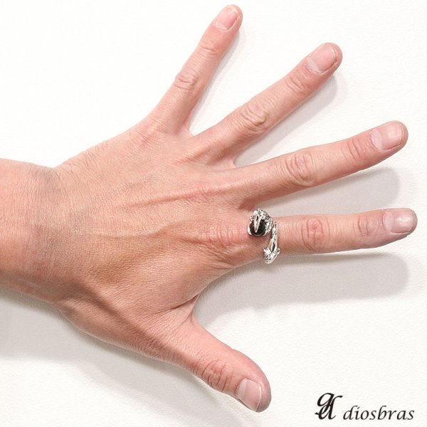 画像3: シルバー925 指輪 リング オニキス ドラゴン 龍 竜 クロウ 爪 シルバー/ゴシック シルバーアクセサリー メンズ シルバーリング シルバー925 メンズアクセサリー 大きいサイズ フリーサイズ【メール便なら全国送料無料】 (3)