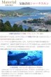 画像4: 宮城県 気仙沼産ヨシキリザメ　吉切鮫　ブルーシャーク　国内唯一エコレザー認定シャークスキン使用　キーケース　キーレスホルダー　キーレス　キーホルダー　鮫　上質サメ革 コンパクトサメ革 キーケース　キーレスホルダー　キーレス　キーホルダー　Ｌ型ジッパー　ミニ財布　カードケース　札入れ　シャークスキン 極薄 ショート　メンズ レディース 本革 鮫革 大容量　本格派向け拘り　気仙沼産シャークスキン 牛革 紳士 婦人　エコレザー認定 (4)