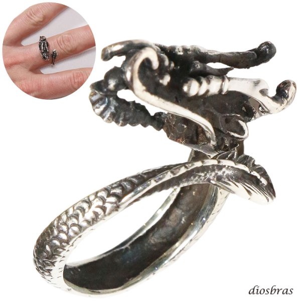 画像1: シルバー925 指輪 リング   ドラゴン 龍 竜 シルバー ゴシック シルバーアクセサリー メンズ シルバーリング シルバー925 メンズアクセサリー 大きいサイズ フリーサイズ メール便なら全国送料無料 (1)