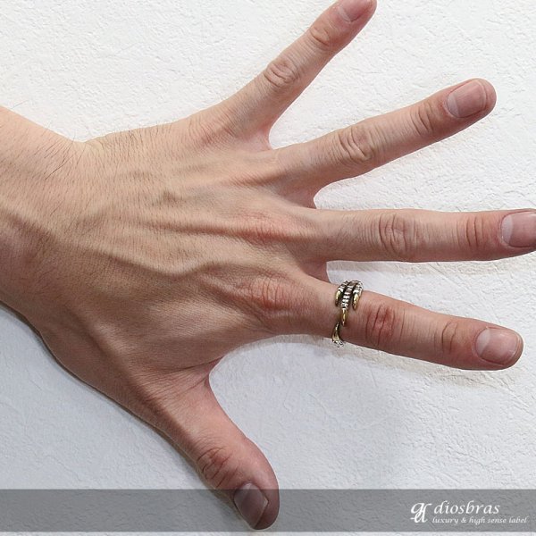 画像5: 【シルバーリング】【ドラゴン　リング】【シルバーアクセサリー】クロウ　爪　リング 龍　竜　シルバーアクセサリー メンズ シルバーリング 指輪 シルバー925 メンズアクセサリー 大きいサイズ フリーサイズ【メール便なら全国送料無料】 (5)