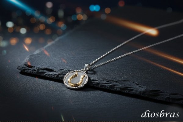 画像8: 馬蹄 ホースシュー コイン ペンダント プラチナ PT900 k18 トップのみ 単品 ネックレス シンプル ゴールド ペンダント 18k メンズ レディース ペンダント 18金 チャーム  ペンダント コイン ペンダント トップ ネックレス (8)