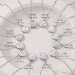 画像8: 星座 星 ペンダント ステンレス　ペンダント ゴールド　シルバー トップ  ネックレス メイン ペンダントトップ １２星座 ネックレス ステンレス チェーン 45cmセット (8)