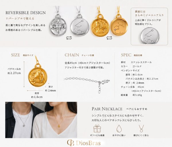 画像7: 星座 星 ペンダント ステンレス　ペンダント ゴールド　シルバー トップ  ネックレス メイン ペンダントトップ １２星座 ネックレス ステンレス チェーン 45cmセット (7)