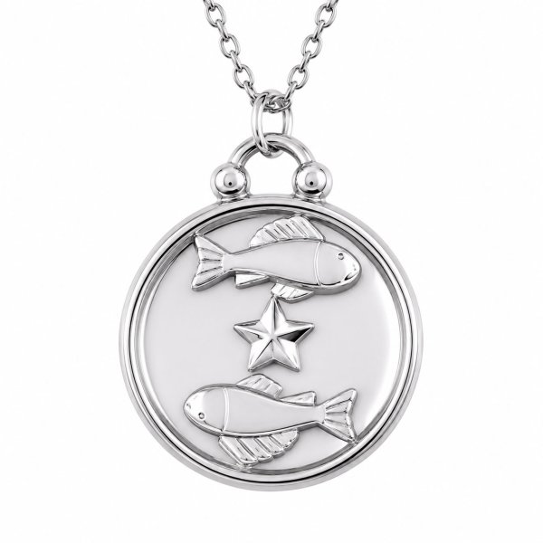 画像21: 星座 星 ペンダント ステンレス　ペンダント ゴールド　シルバー トップ  ネックレス メイン ペンダントトップ １２星座 ネックレス ステンレス チェーン 45cmセット (21)