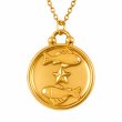 画像33: 星座 星 ペンダント ステンレス　ペンダント ゴールド　シルバー トップ  ネックレス メイン ペンダントトップ １２星座 ネックレス ステンレス チェーン 45cmセット (33)