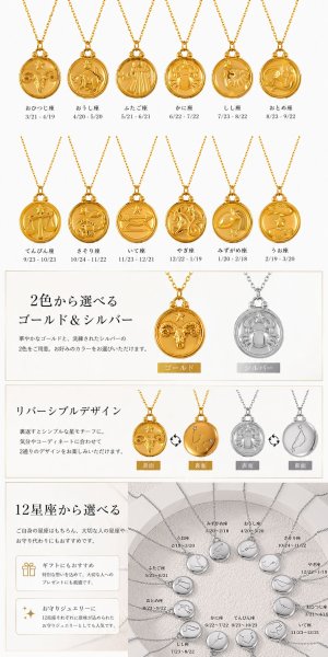 画像5: 星座 星 ペンダント ステンレス　ペンダント ゴールド　シルバー トップ  ネックレス メイン ペンダントトップ １２星座 ネックレス ステンレス チェーン 45cmセット (5)